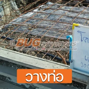 4 วิธีกำจัดปลวกถาวร กำจัดปลวก