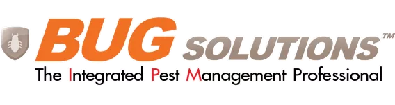 bugsolutions บั๊ก โซลูชันส์ บั๊กโซลูชันส์