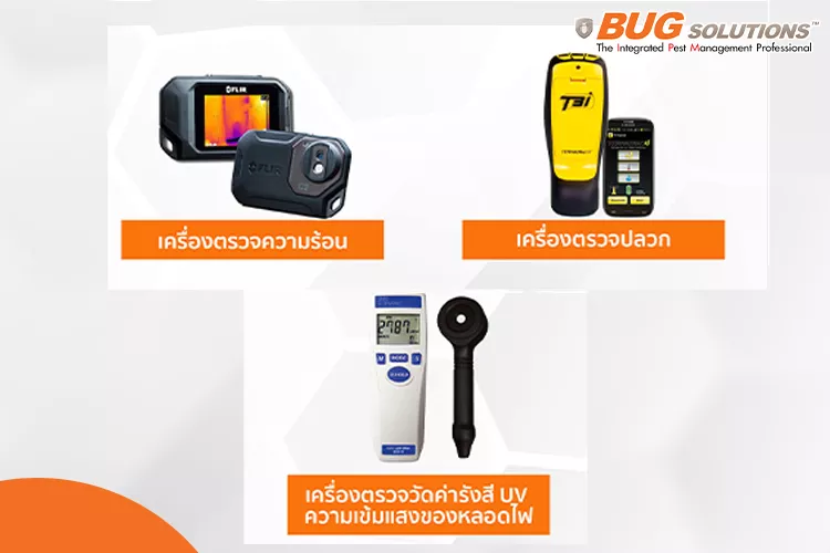 บริษัทกำจัดปลวกเจ้าไหนดี ที่นี่มีคำตอบ