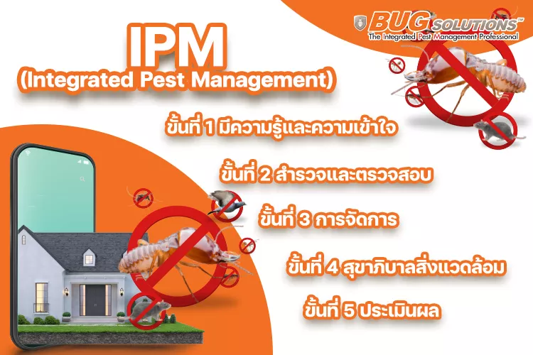บริษัทกำจัดปลวกเจ้าไหนดี ที่นี่มีคำตอบ