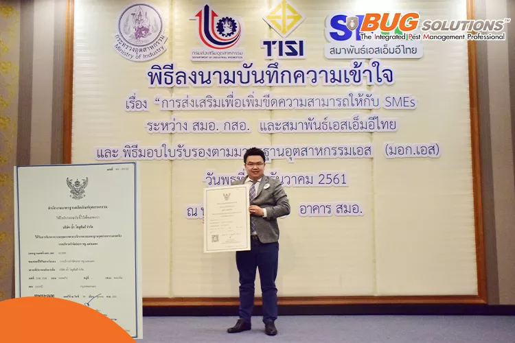 บริษัทกำจัดปลวกเจ้าไหนดี ที่นี่มีคำตอบ