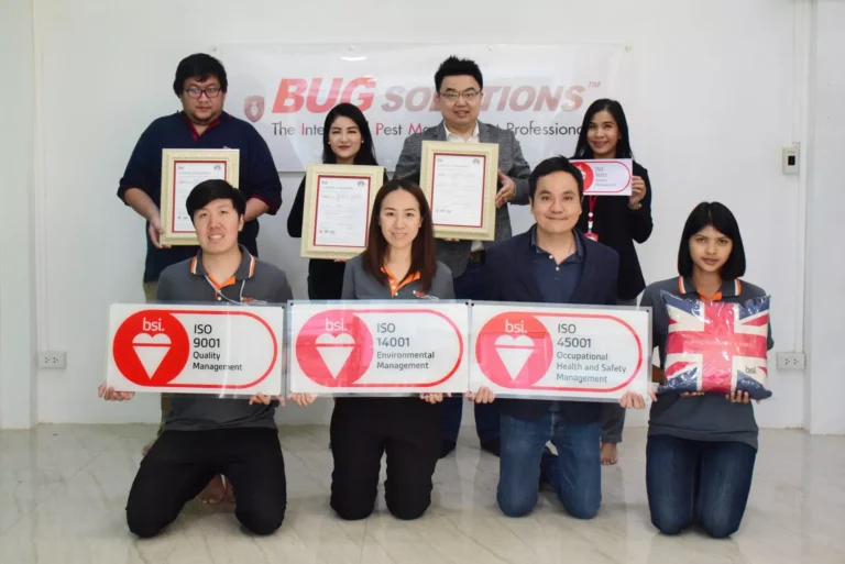 BSI ISO