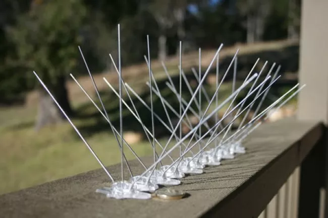 การไล่นกแบบอุปกรณ์ Bird Spike (เหล็กแหลม)
