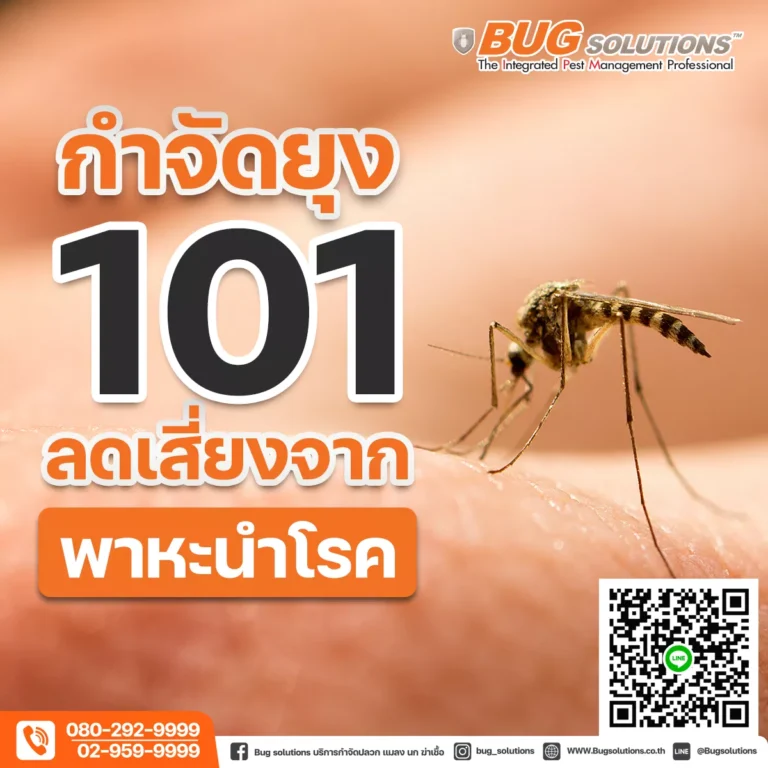 กำจัดยุง