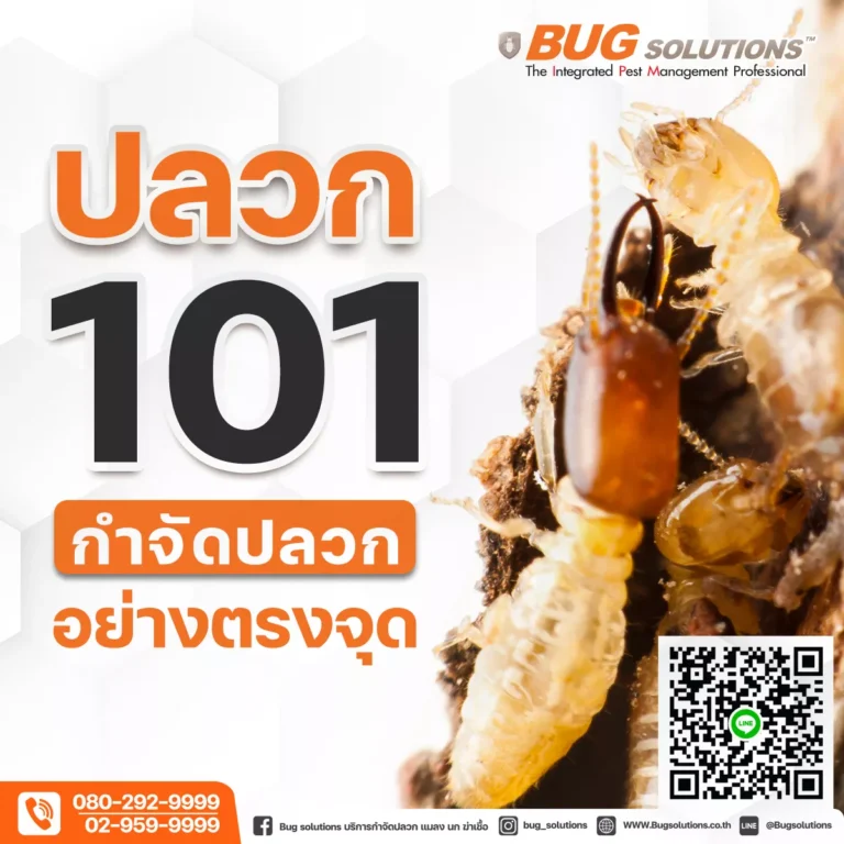 กำจัดปลวก
