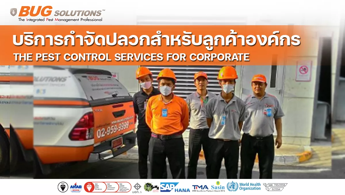ลูกค้าธุรกิจและองค์กร Business Customer​